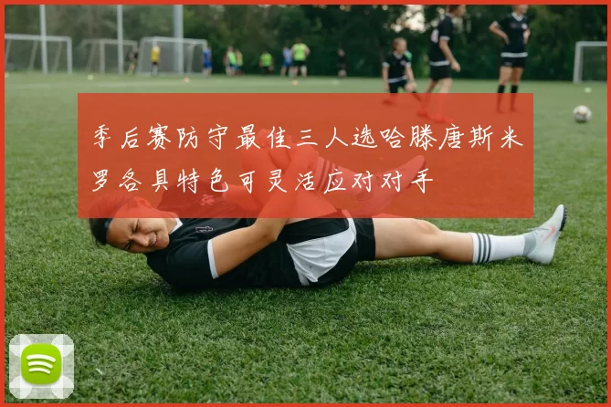 季后赛防守最佳三人选哈滕唐斯米罗各具特色可灵活应对对手