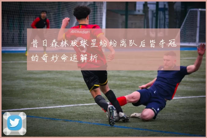 昔日森林狼球星纷纷离队后皆夺冠的奇妙命运解析